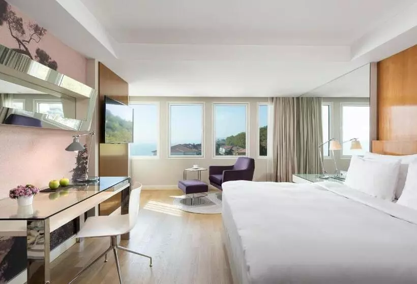 サイドオーシャンビューのプレミアムルーム, Radisson Blu Bosphorus