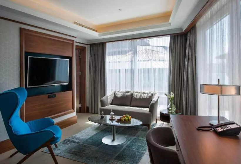 １ベッドルームのスーペリアアパートメント, Radisson Blu Bosphorus