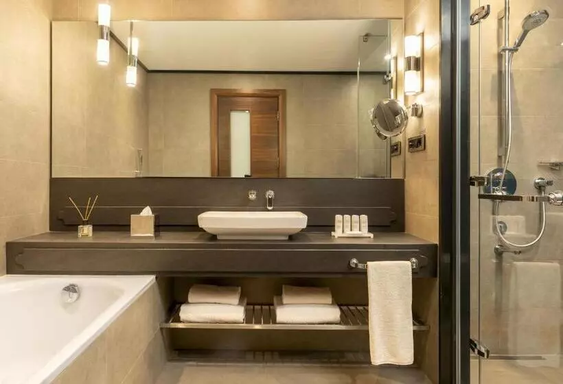１ベッドルームのスーペリアアパートメント, Radisson Blu Bosphorus