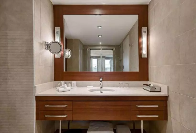 １ベッドルームのスーペリアアパートメント, Radisson Blu Bosphorus