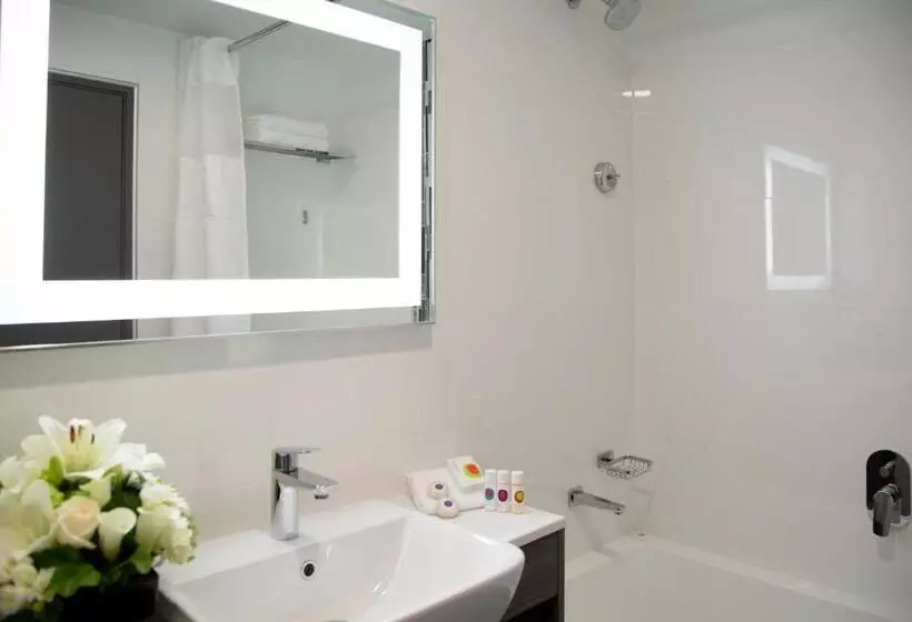 اتاق اجرایی, Sudima Hotel Christchurch Airport