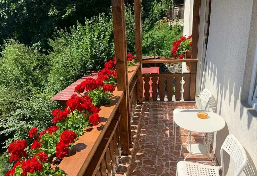اتاق سوپریور, Vila Thomas