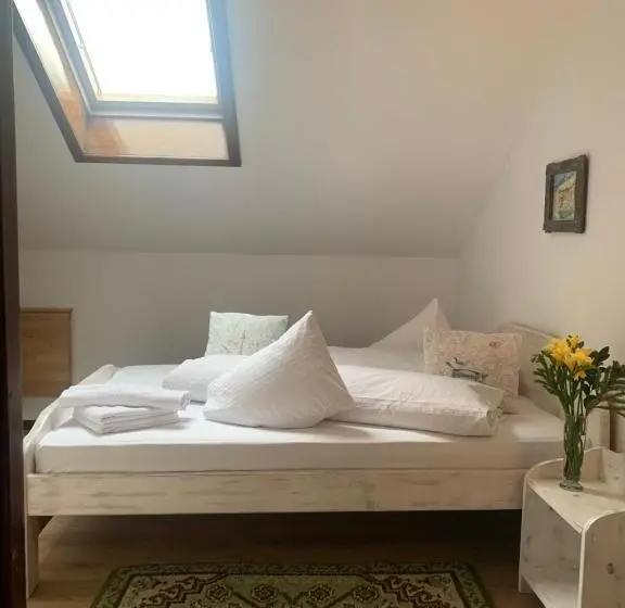 اتاق اکونومی, Vila Thomas