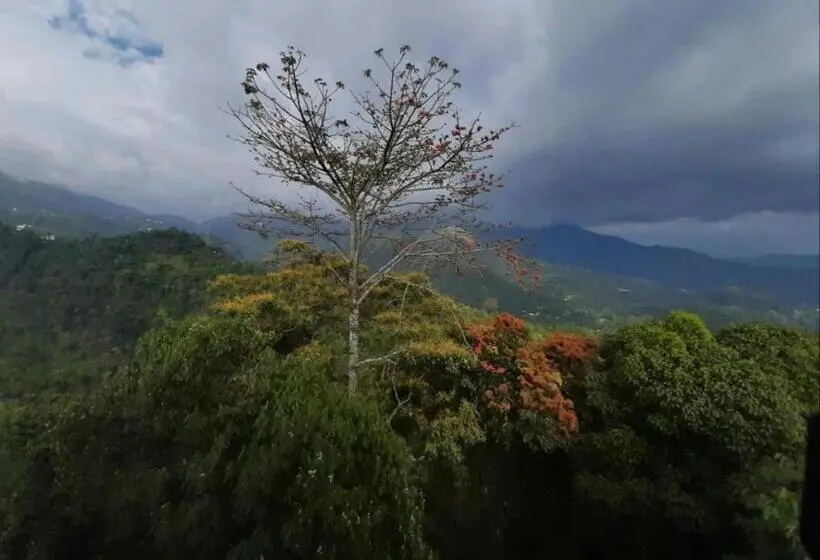Deluxe Kamer met Balkon, Palmtree Leaf, Munnar