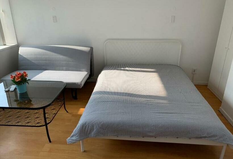 스탠다드 스튜디오, Inestin Shanghai Apt Lujiazui