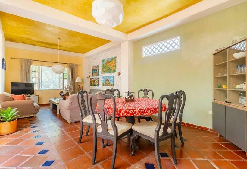 غرفة قياسية, Junto Al Mar Y El Manglar