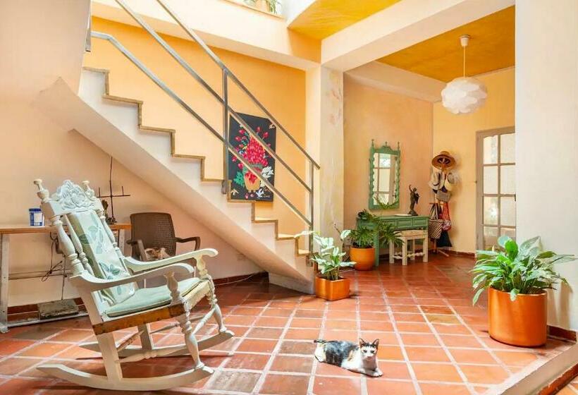 غرفة قياسية, Junto Al Mar Y El Manglar