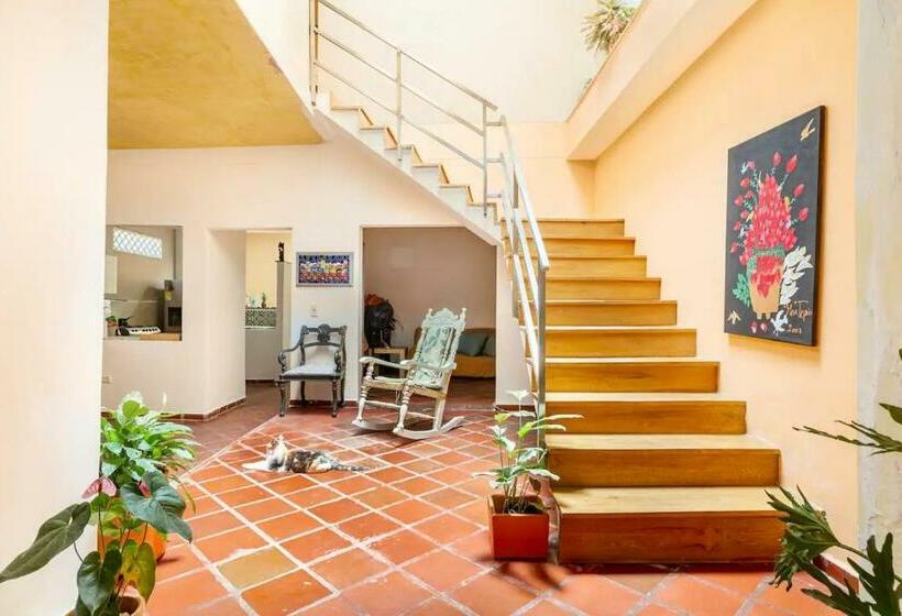 غرفة قياسية, Junto Al Mar Y El Manglar