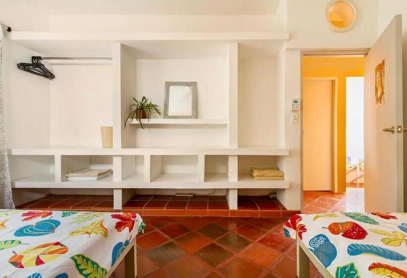 غرفة قياسية, Junto Al Mar Y El Manglar