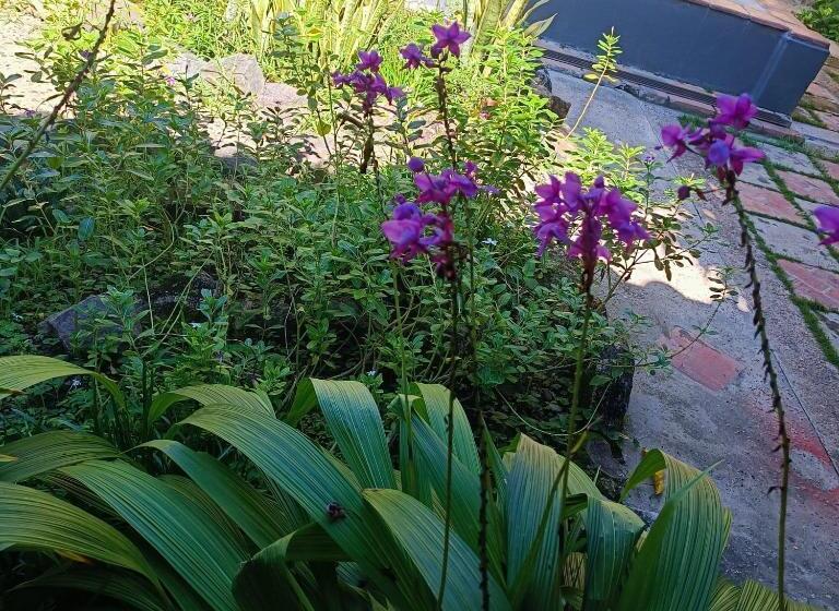 חדר סטנדרט, Casa Sinning Año1637