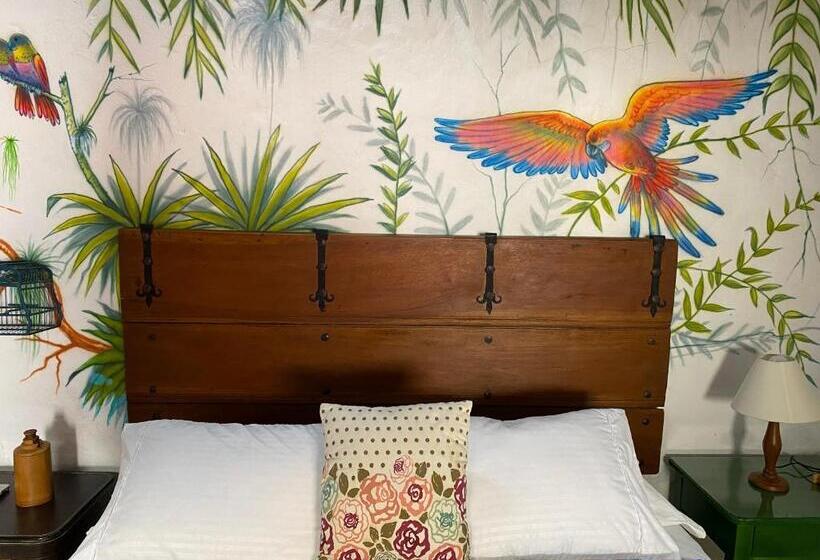 חדר סטנדרט נוף לגינה, Casa Sinning Año1637