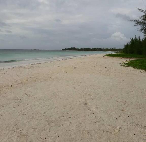 バス共有のスタンダードルーム, Barefoot Zanzibar