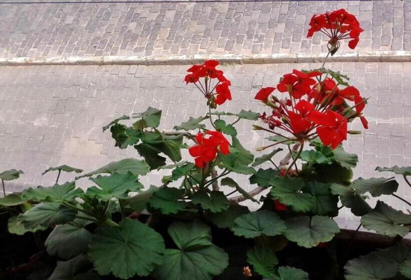 غرفة قياسية رباعية, Pousada Max Pomerode