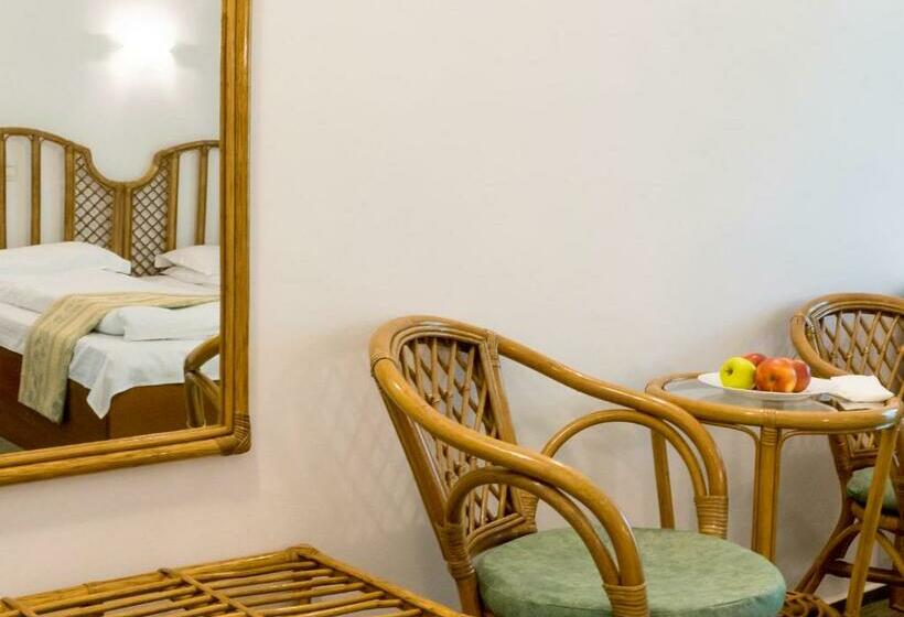 חדר סטנדרט, Vila Elena