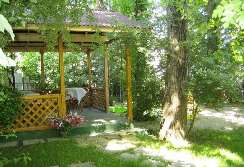 סוויטת ג'וניור, Vila Elena