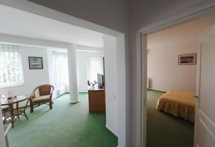 סוויטת ג'וניור, Vila Elena