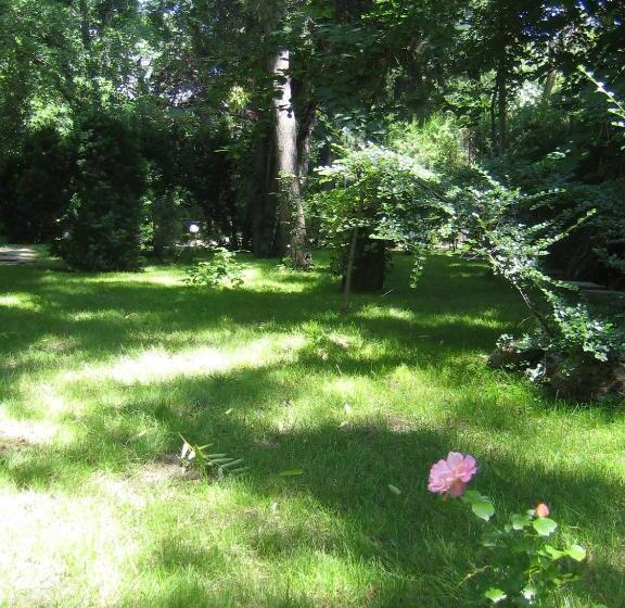 סוויטת ג'וניור עם מטבח, Vila Elena