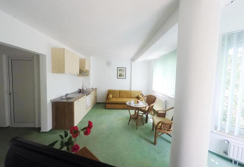 סוויטת ג'וניור עם מטבח, Vila Elena