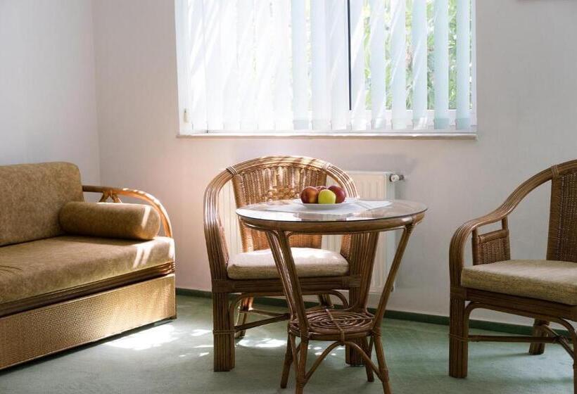 סוויטת ג'וניור עם מטבח, Vila Elena