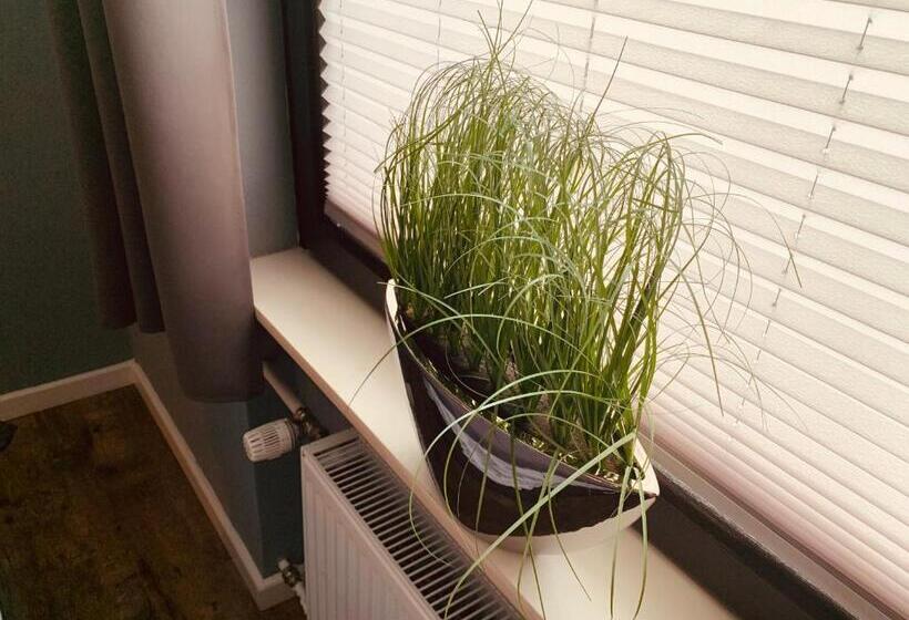 Номер Стандарт, Pension Haus Am Wald