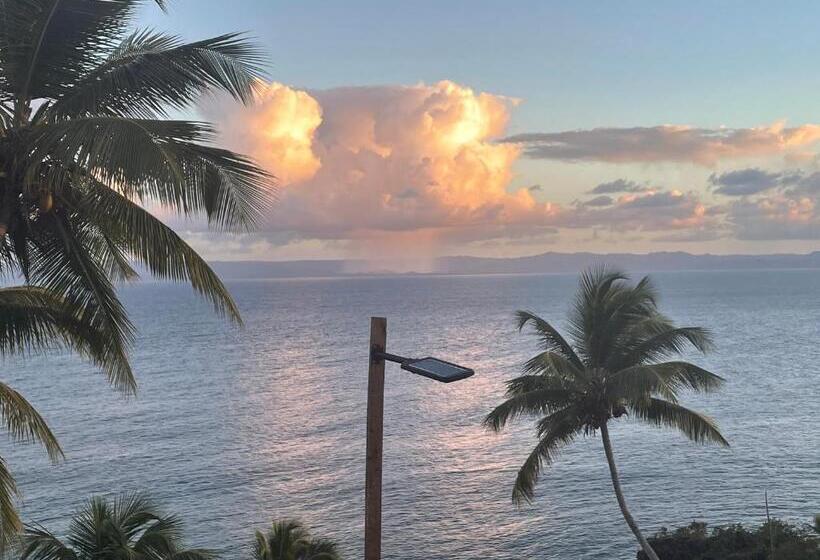 آپارتمان 1 خوابه با چشمانداز دریا, Vista Mare Ocean View Top Floor Condo, Samana
