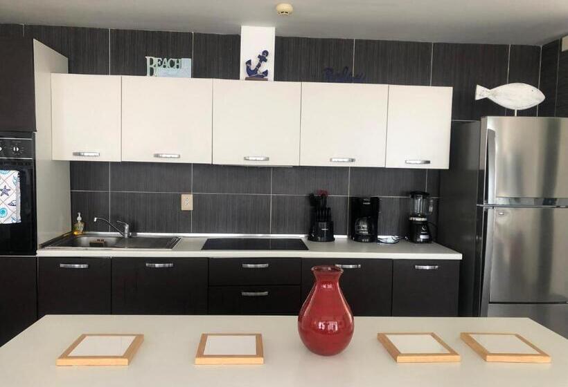 آپارتمان 1 خوابه با چشم‌انداز دریا, Vista Mare Ocean View Top Floor Condo, Samana