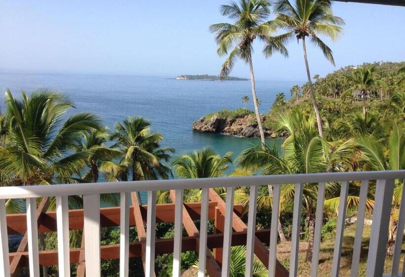 آپارتمان 1 خوابه با چشمانداز دریا, Vista Mare Ocean View Top Floor Condo, Samana