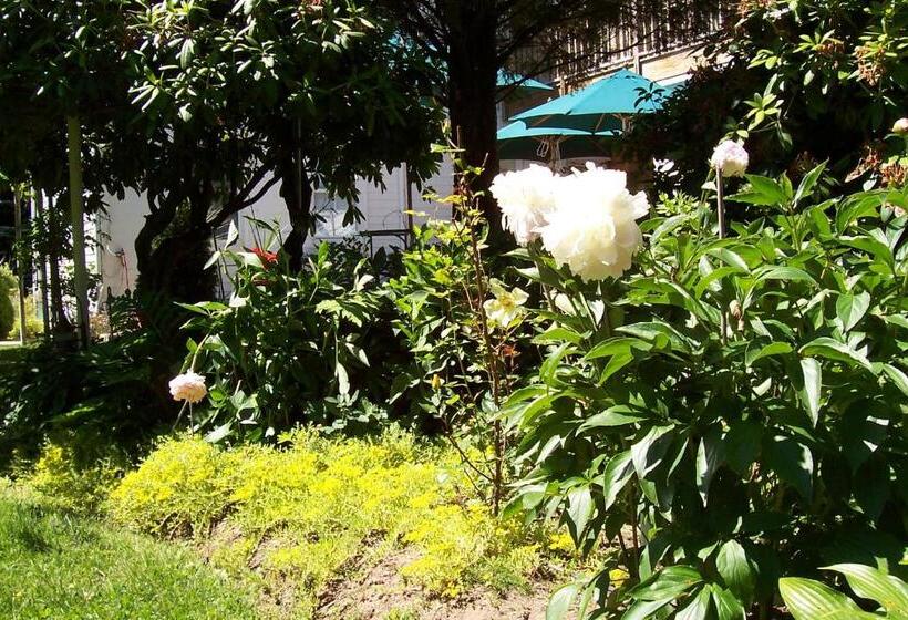 Номер Стандарт, Arbor View House Bed And Breakfast