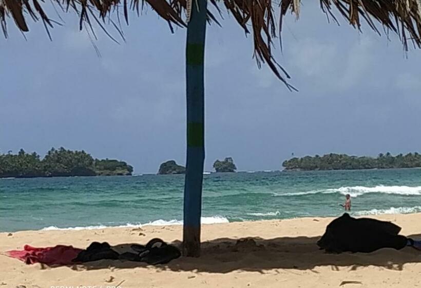 اتاق استاندارد, La Luciernaga Big Creek