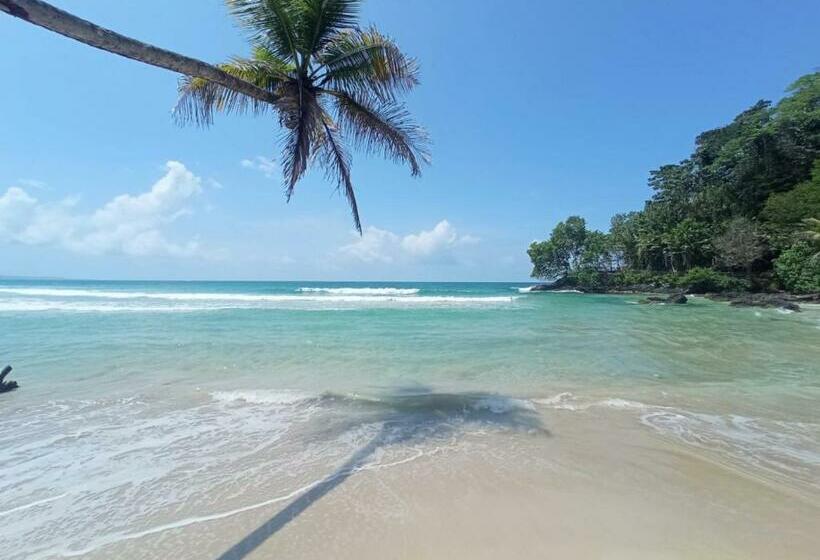 اتاق استاندارد, La Luciernaga Big Creek