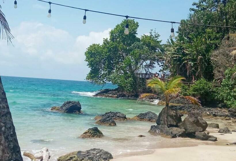 اتاق استاندارد, La Luciernaga Big Creek