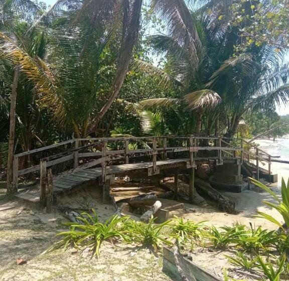 اتاق استاندارد, La Luciernaga Big Creek