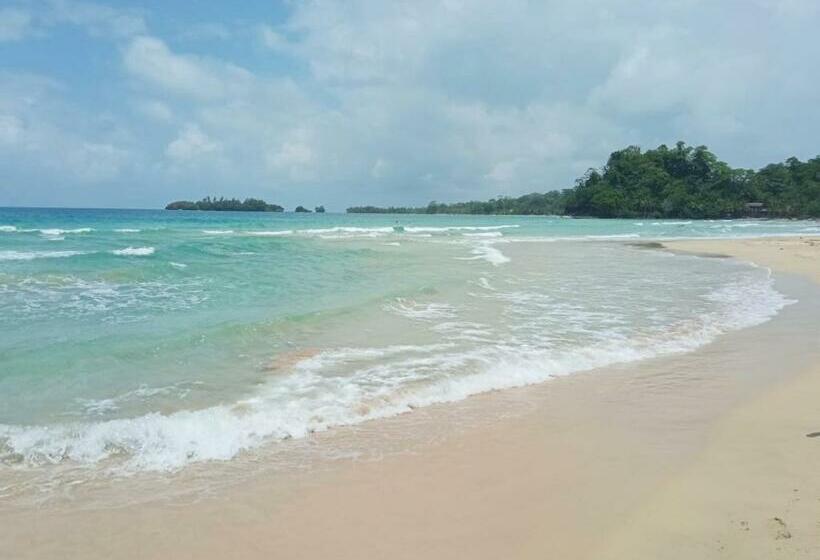 اتاق استاندارد, La Luciernaga Big Creek