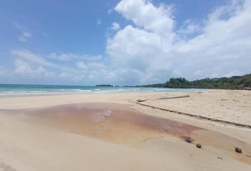 اتاق استاندارد, La Luciernaga Big Creek