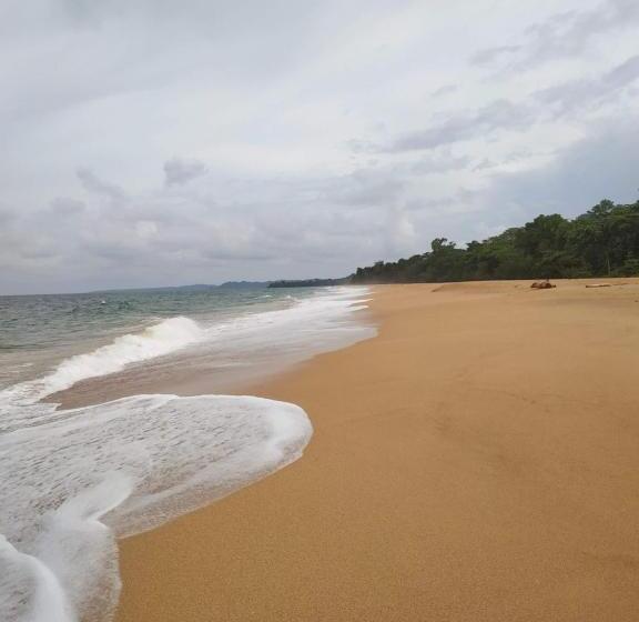 اتاق استاندارد, La Luciernaga Big Creek