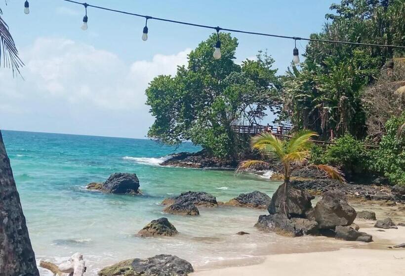 اتاق استاندارد چهارنفره با چشمانداز باغ, La Luciernaga Big Creek