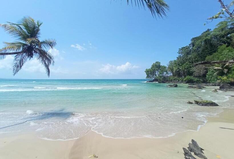 اتاق استاندارد چهارنفره با چشمانداز باغ, La Luciernaga Big Creek