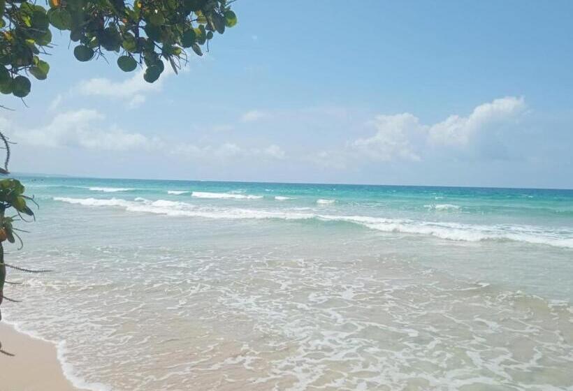 اتاق استاندارد چهارنفره با چشمانداز باغ, La Luciernaga Big Creek