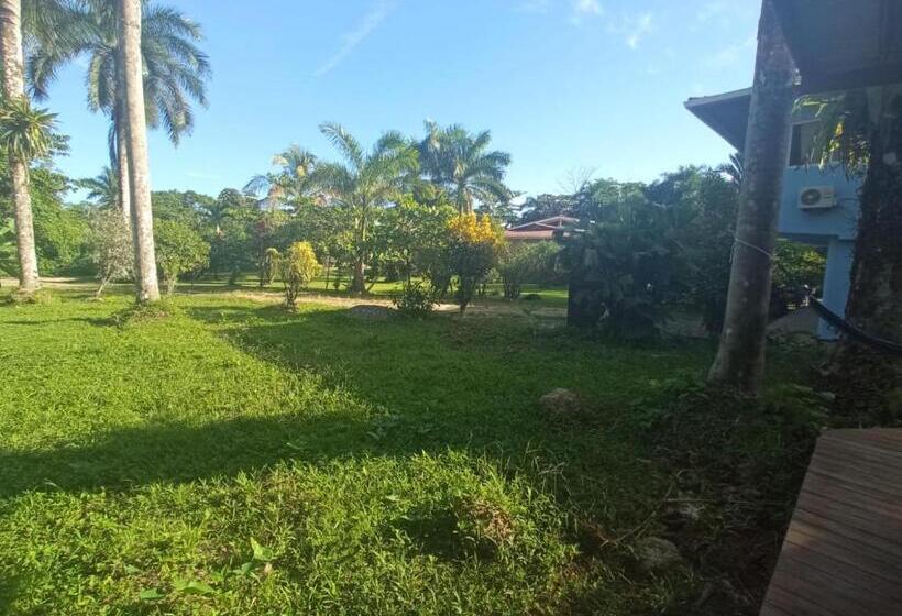 اتاق استاندارد چهارنفره با چشمانداز باغ, La Luciernaga Big Creek