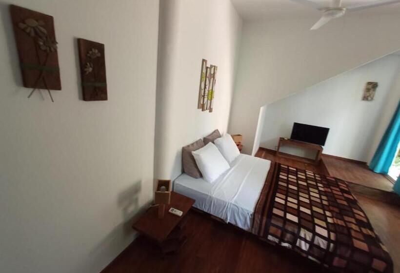 اتاق استاندارد, La Luciernaga Big Creek