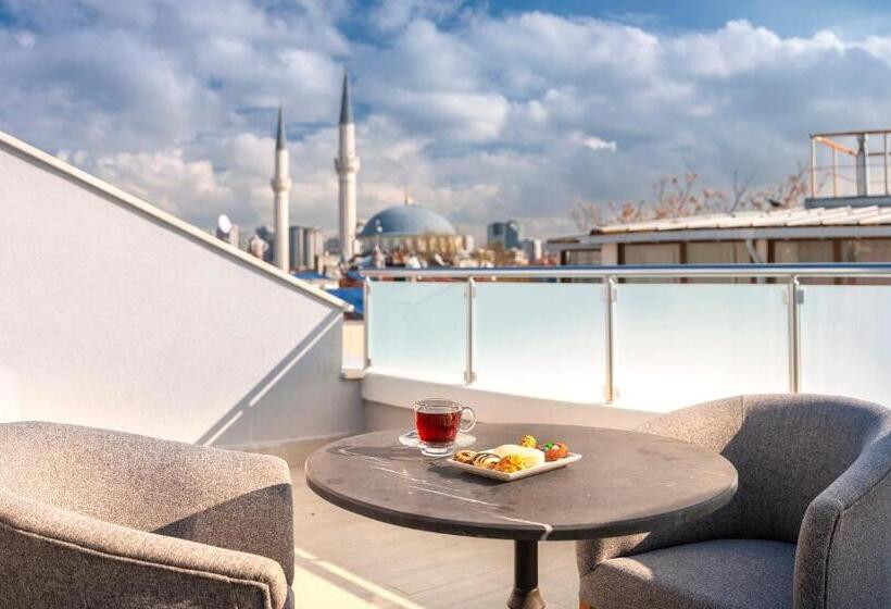 Standard Room with Terrace, Bossuite Business
