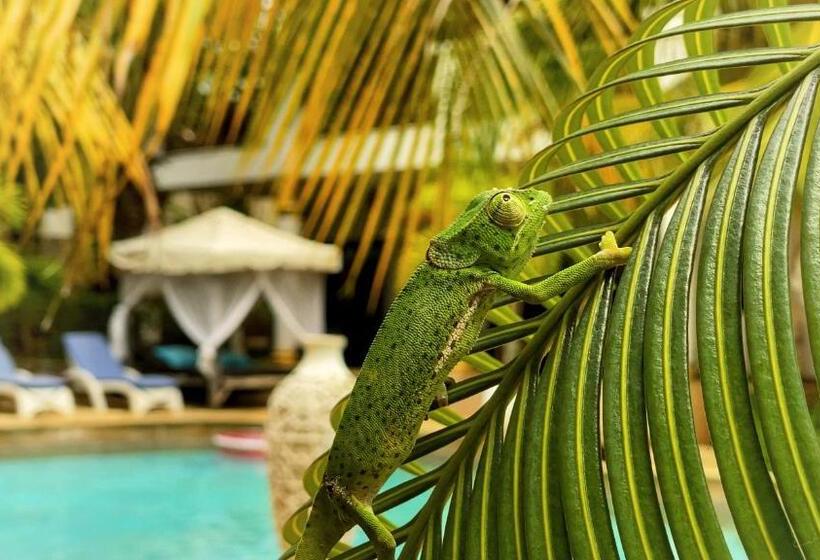 家庭间, Natural Kendwa Villa