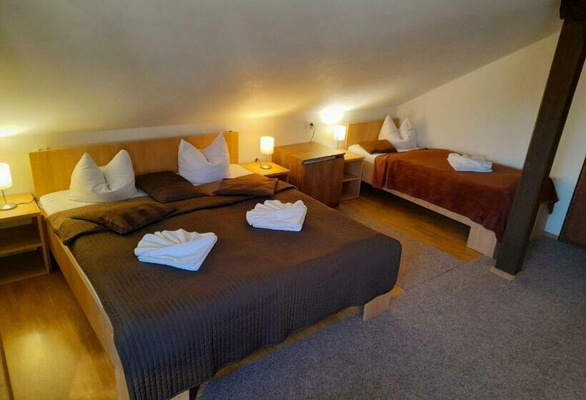 חדר סטנדרט לשלושה, Džbán