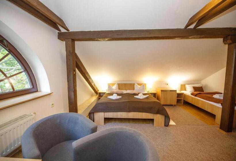 חדר סטנדרט לשלושה, Džbán