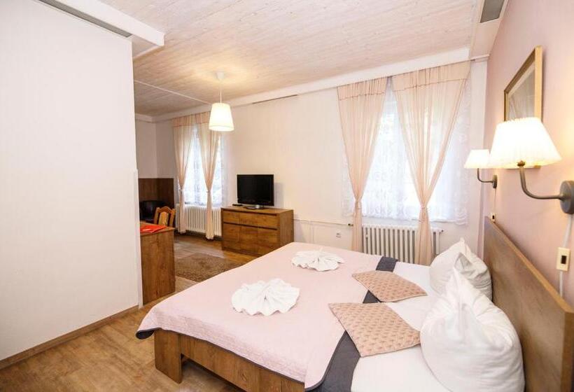 חדר סטנדרט, Džbán