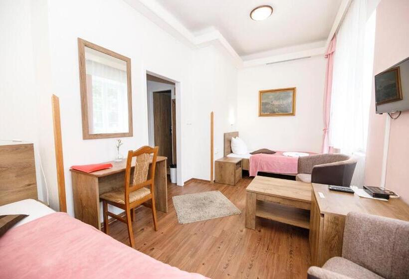 חדר סטנדרט, Džbán