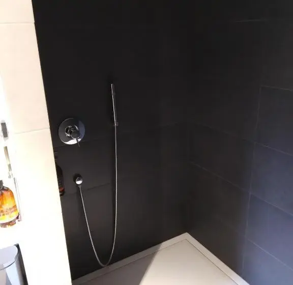 Quarto Standard Individual para Deficientes, Olot Centre