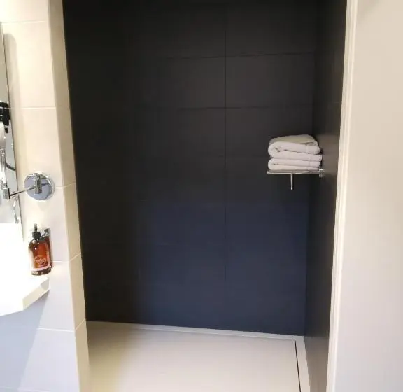 Quarto Standard Individual para Deficientes, Olot Centre