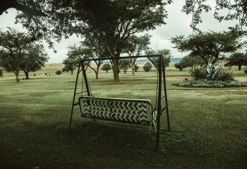 غرفة قياسية, Amphitheatre Backpackers Lodge