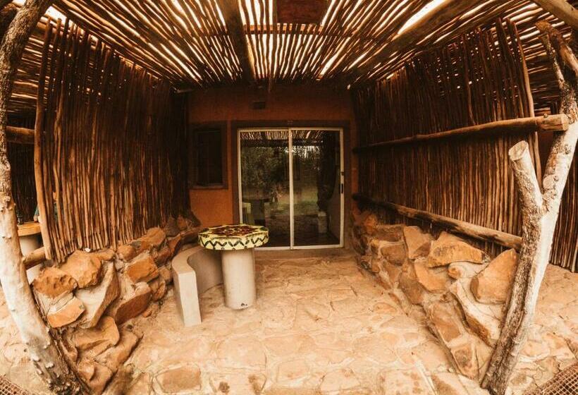 غرفة قياسية, Amphitheatre Backpackers Lodge